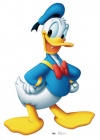 Disney Exclusive Online Store Donald Duck