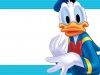 Donald-duck-wallpaper-5
